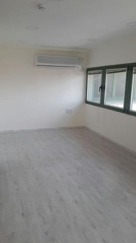 צביעת קירות